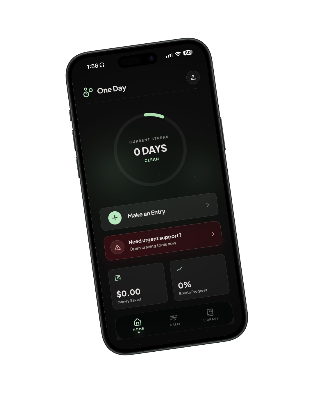 One Day home dashboard preview